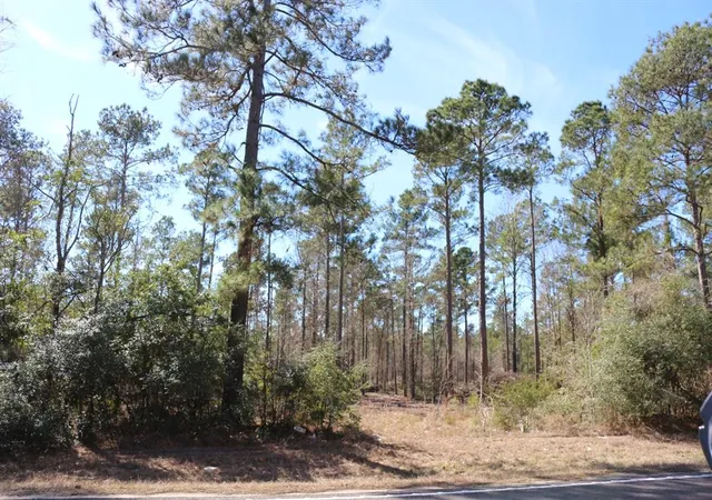 4th image of 11-2 N Hanson Road, Onalaska, TX 77360 | MLS# 26942189