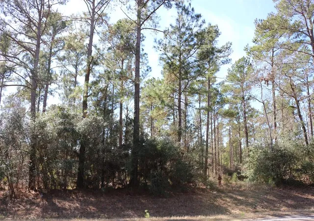 5th image of 11-2 N Hanson Road, Onalaska, TX 77360 | MLS# 26942189