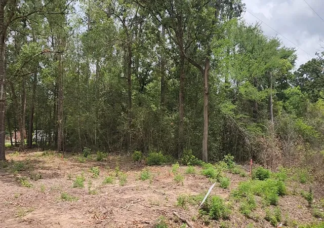 Homes for sale in Plantersville, TX | Lot 10 B53 Sweetleaf Ln, Plantersville, TX 77363 | MLS# 13836596