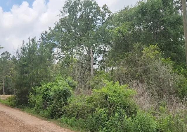 Homes for sale in Plantersville, TX | Lot 10 B53 Sweetleaf Ln, Plantersville, TX 77363 | MLS# 13836596