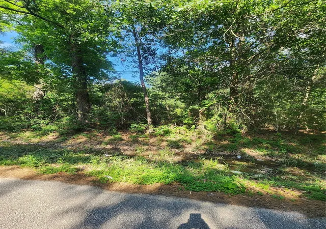 Photo 1 of Land for sale at 202 Michael St, Cleveland, TX 77328 | MLS# 38389536 | Listing updated on 2026-05-14