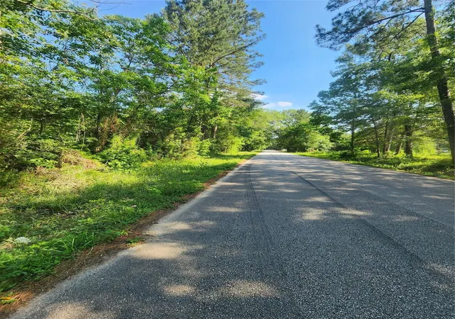 Photo 2 of Land for sale at 202 Michael St, Cleveland, TX 77328 | MLS# 38389536 | Listing updated on 2026-05-14