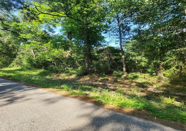 Photo 3 of Land for sale at 202 Michael St, Cleveland, TX 77328 | MLS# 38389536 | Listing updated on 2026-05-14