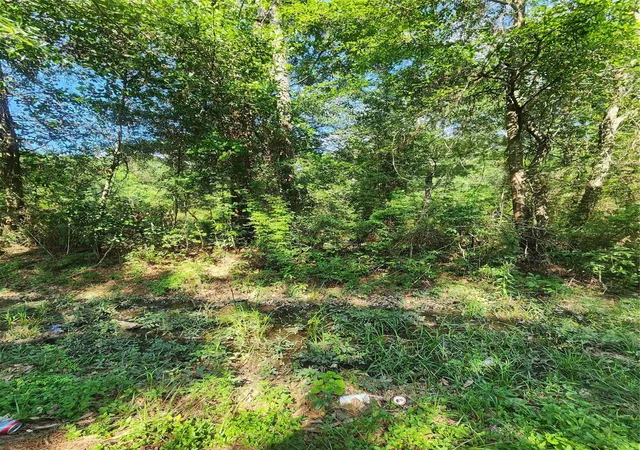Photo 3 of Land for sale at 202 Michael St, Cleveland, TX 77328 | MLS# 38389536 | Listing updated on 2026-05-14