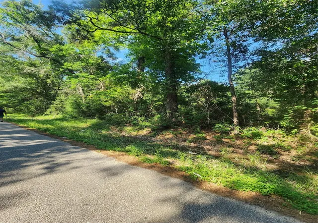 Photo 4 of Land for sale at 202 Michael St, Cleveland, TX 77328 | MLS# 38389536 | Listing updated on 2026-05-14