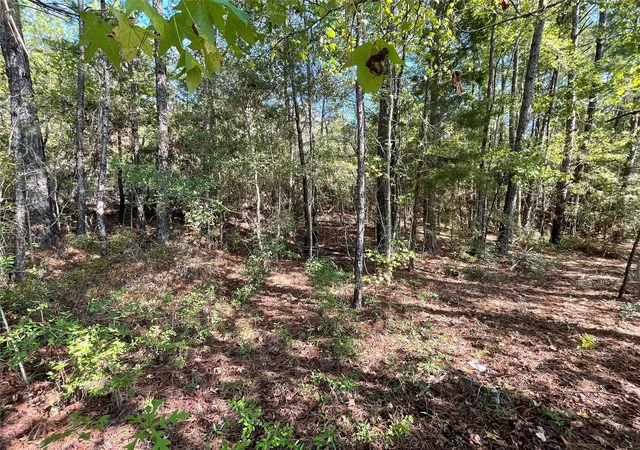 Homes for sale in Jasper, TX | 4630 Us Hwy 96 N, Jasper, TX 75951 | MLS# 37163667