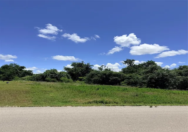 Homes for sale in Chappell Hill, TX | Lot 35 Winding Br, Chappell Hill, TX 77426 | MLS# 21276045