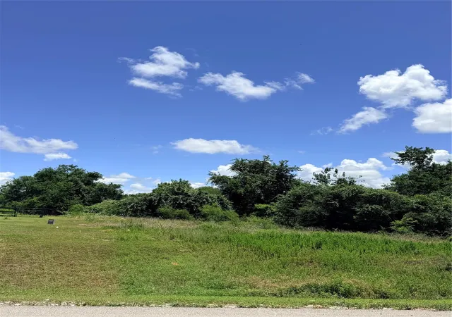 Homes for sale in Chappell Hill, TX | Lot 35 Winding Br, Chappell Hill, TX 77426 | MLS# 21276045