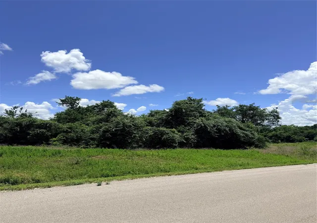 Homes for sale in Chappell Hill, TX | Lot 35 Winding Br, Chappell Hill, TX 77426 | MLS# 21276045