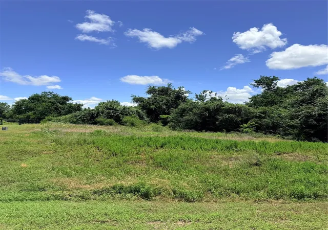 Homes for sale in Chappell Hill, TX | Lot 35 Winding Br, Chappell Hill, TX 77426 | MLS# 21276045