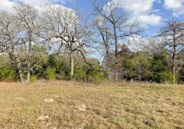 5th image of 818 +/- Ac Henson Rd, Hempstead, TX 77445 | MLS# 26183987