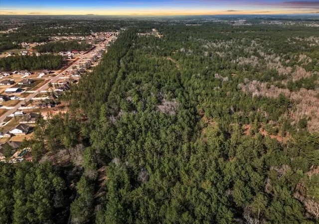 Land for sale at 0 A0186 - Dease Conley, Tract 15, Acres 20, Conroe, TX 77303 | MLS# 2833565