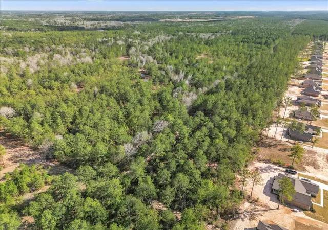 Photo 1 of Land for sale at 0 A0186 - Dease Conley, Tract 15, Acres 20, Conroe, TX 77303 | MLS# 2833565 | Listing updated on 2026-08-18