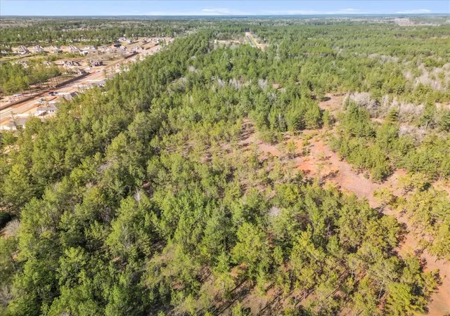 Photo 2 of Land for sale at 0 A0186 - Dease Conley, Tract 15, Acres 20, Conroe, TX 77303 | MLS# 2833565 | Listing updated on 2026-08-18