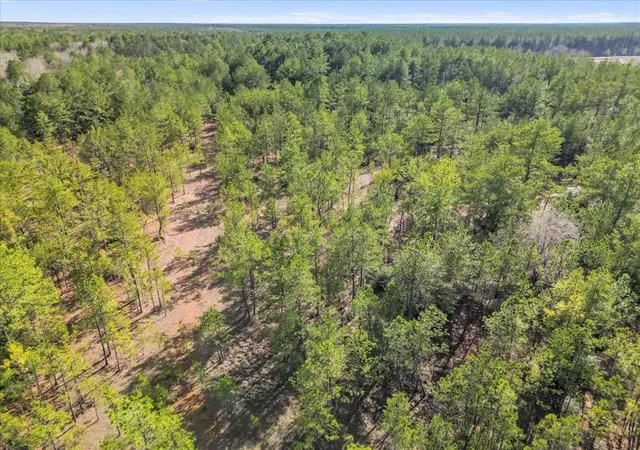 Photo 3 of Land for sale at 0 A0186 - Dease Conley, Tract 15, Acres 20, Conroe, TX 77303 | MLS# 2833565 | Listing updated on 2026-08-18