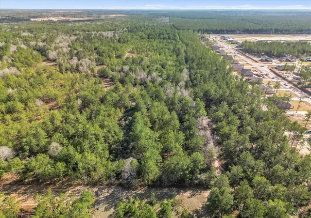 Photo 4 of Land for sale at 0 A0186 - Dease Conley, Tract 15, Acres 20, Conroe, TX 77303 | MLS# 2833565 | Listing updated on 2026-08-18