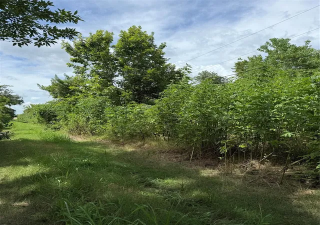Photo 2 of Land for sale at 000 Pine, Brazoria, TX 77422 | MLS# 18326577 | Listing updated on 2026-08-07