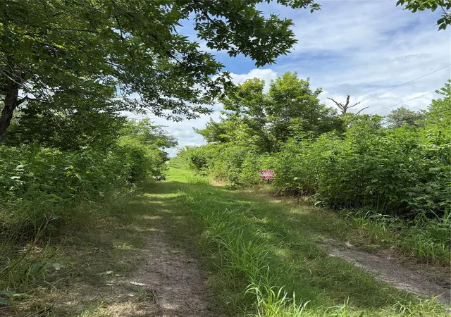 Photo 3 of Land for sale at 000 Pine, Brazoria, TX 77422 | MLS# 18326577 | Listing updated on 2026-08-07
