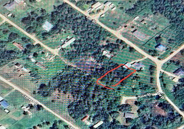 Photo 3 of Land for sale at 000 Pine, Brazoria, TX 77422 | MLS# 18326577 | Listing updated on 2026-08-07