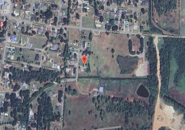 Photo 3 of Land for sale at 435 Blueberry St, Bridge City, TX 77611 | MLS# 79879057 | Listing updated on 2026-10-05