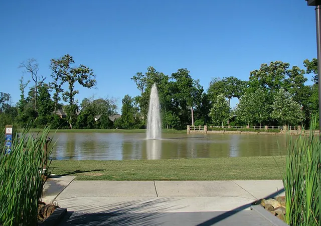 44th image of 110 S Sawbridge Cir, Spring, TX 77389 | MLS# 75957305