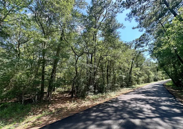 Homes for sale in Richards, TX | 0 Taliaferro Rd, Richards, TX 77873 | MLS# 26075695