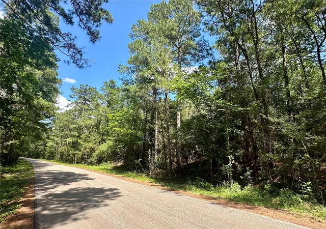 Homes for sale in Richards, TX | 0 Taliaferro Rd, Richards, TX 77873 | MLS# 26075695