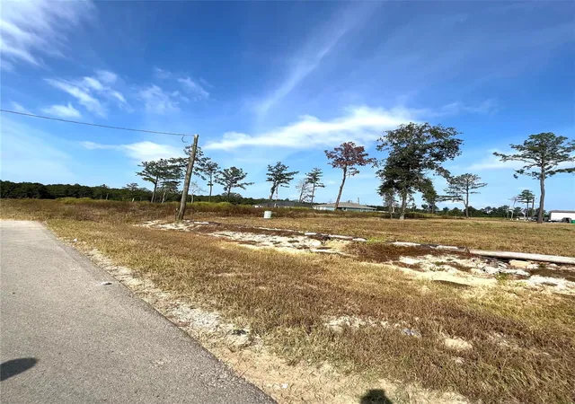 Photo 2 of Land for sale at 18429 Novarra Dr, Conroe, TX 77306 | MLS# 9897105 | Listing updated on 2026-04-16