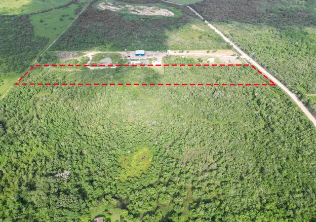 5th image of 0 Beard Rd, Needville, TX 77461 | MLS# 57269374