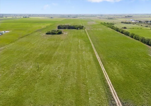 Photo 2 of Land for sale at 16020 Fm 1489 Rd, Wallis, TX 77485 | MLS# 84967810 | Listing updated on 2026-09-18