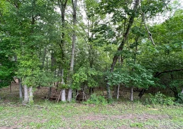 Photo 1 of Land for sale at 161 N Pine Harbour Dr, Coldspring, TX 77331 | MLS# 20621421 | Listing updated on 2026-06-22