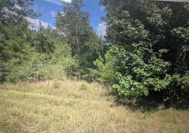 Photo 1 of Land for sale at 0 Hwy 59, Livingston, TX 77351 | MLS# 66346289 | Listing updated on 2026-08-29