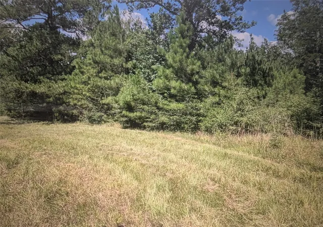 Photo 2 of Land for sale at 0 Hwy 59, Livingston, TX 77351 | MLS# 66346289 | Listing updated on 2026-08-29