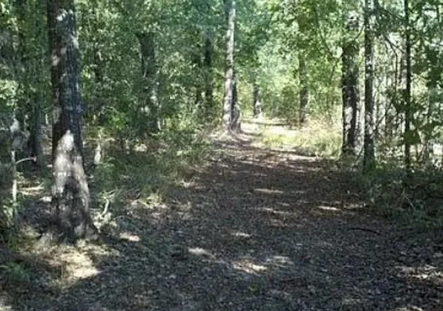 Photo 1 of Sale Pending at 12184 Private Rd 2350, Oakwood, TX 75855 | MLS# 52280508 | Listing updated on 2026-09-02