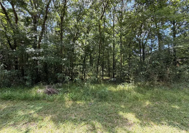 Photo 1 of Land for sale at Lot 119 Miller Dr, Cleveland, TX 77327 | MLS# 67533388 | Listing updated on 2026-08-05