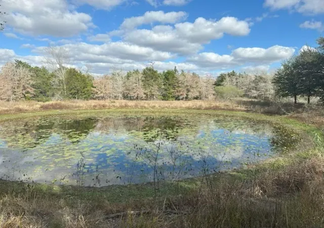 Photo 4 of Land for sale at Tbd Wetjen Ln, West Point, TX 78963 | MLS# 46511244 | Listing updated on 2026-07-17