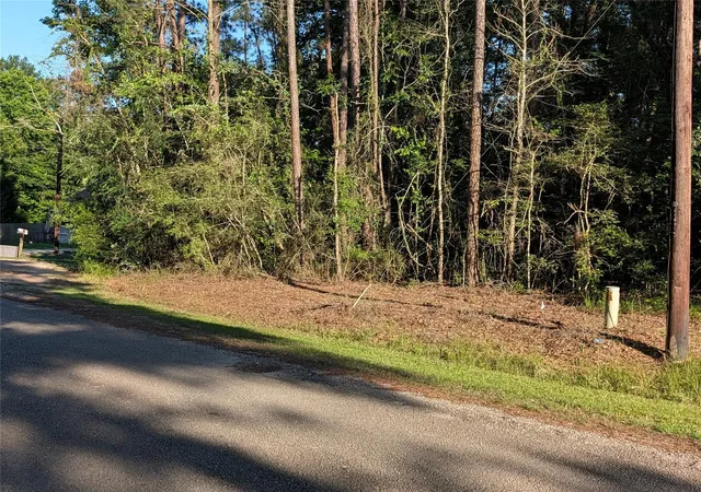 Land for sale at Tbd Moss Cir, Montgomery, TX 77328 | MLS# 91478136