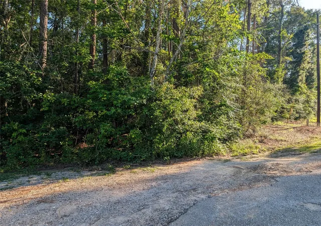 Photo 3 of Land for sale at Tbd Moss Cir, Montgomery, TX 77328 | MLS# 91478136 | Listing updated on 2026-05-18