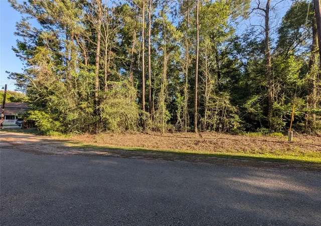 Photo 4 of Land for sale at Tbd Moss Cir, Montgomery, TX 77328 | MLS# 91478136 | Listing updated on 2026-05-18