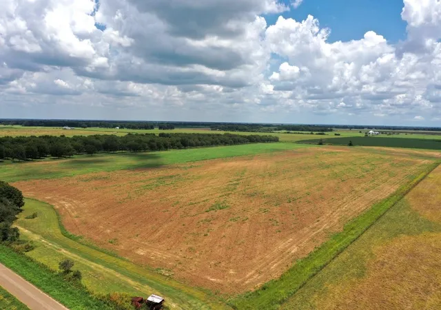1st image of 2523 S Cr 267, Elm Grove, TX 77434 | MLS# 50909939