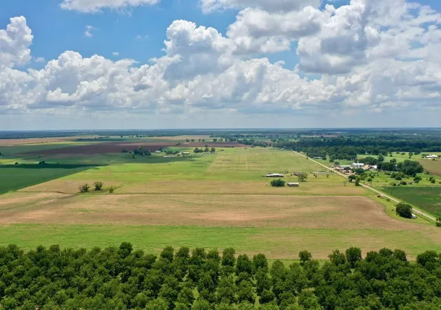 4th image of 2523 S Cr 267, Elm Grove, TX 77434 | MLS# 50909939