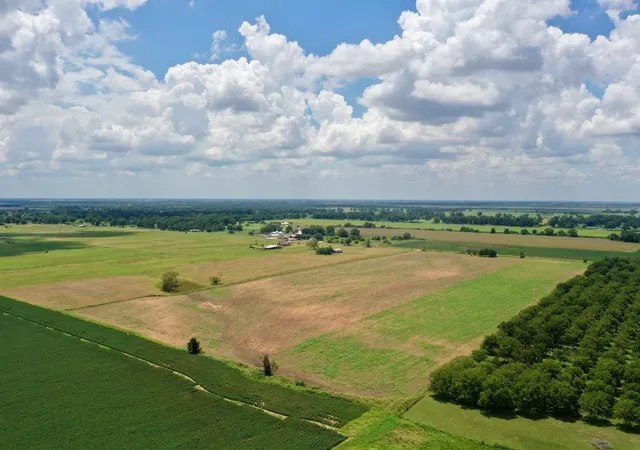 5th image of 2523 S Cr 267, Elm Grove, TX 77434 | MLS# 50909939