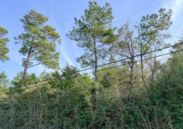 5th image of T-3 Hwy 1131, Vidor, TX 77662 | MLS# 87445699