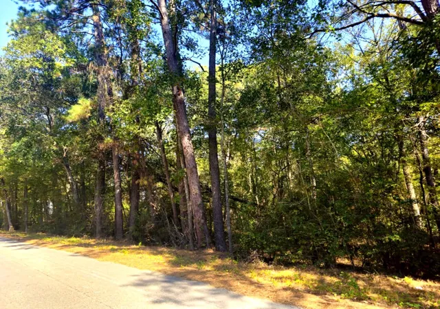 Photo 1 of Land for sale at Tbd Royal Springs Rd, Conroe, TX 77303 | MLS# 21706825 | Listing updated on 2026-05-28