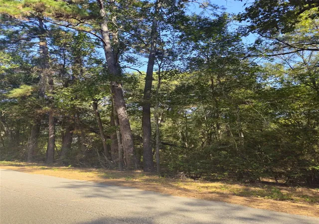 Photo 2 of Land for sale at Tbd Royal Springs Rd, Conroe, TX 77303 | MLS# 21706825 | Listing updated on 2026-05-28