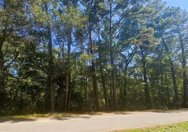 Photo 3 of Land for sale at Tbd Royal Springs Rd, Conroe, TX 77303 | MLS# 21706825 | Listing updated on 2026-05-28