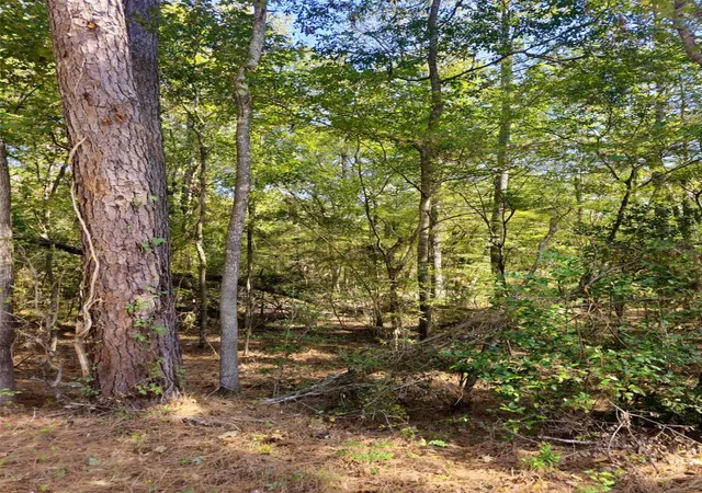 Photo 3 of Land for sale at Tbd Royal Springs Rd, Conroe, TX 77303 | MLS# 21706825 | Listing updated on 2026-05-28