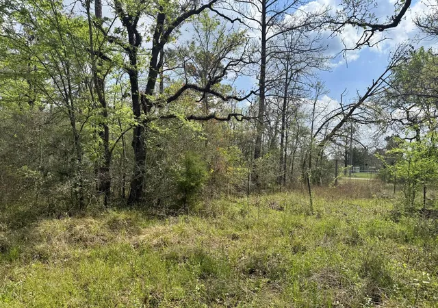 2nd image of 251 William Thomas Rd, Huntsville, TX 77320 | MLS# 62335040