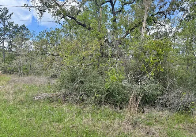 Photo 3 of Land for sale at 251 William Thomas Rd, Huntsville, TX 77320 | MLS# 62335040 | Listing updated on 2026-07-21