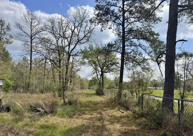 Photo 3 of Land for sale at 251 William Thomas Rd, Huntsville, TX 77320 | MLS# 62335040 | Listing updated on 2026-07-21